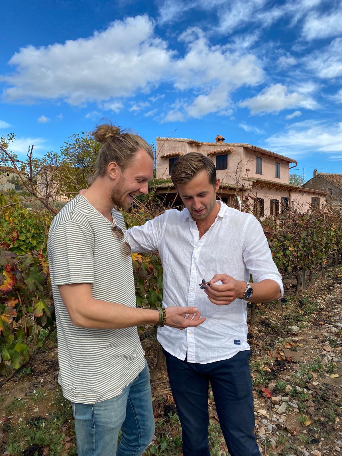 938371f4-305c-49fc-a782-93d90df621e5