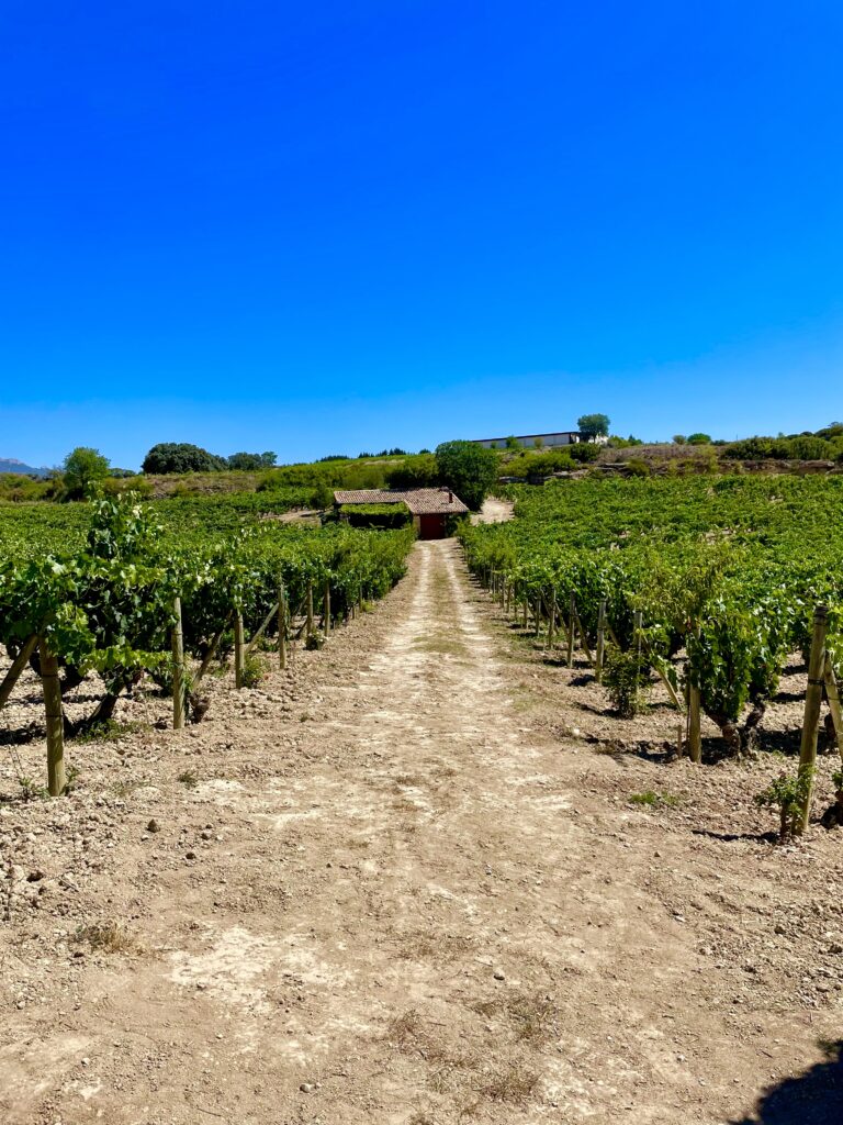 an example of Spanish Wine Regions