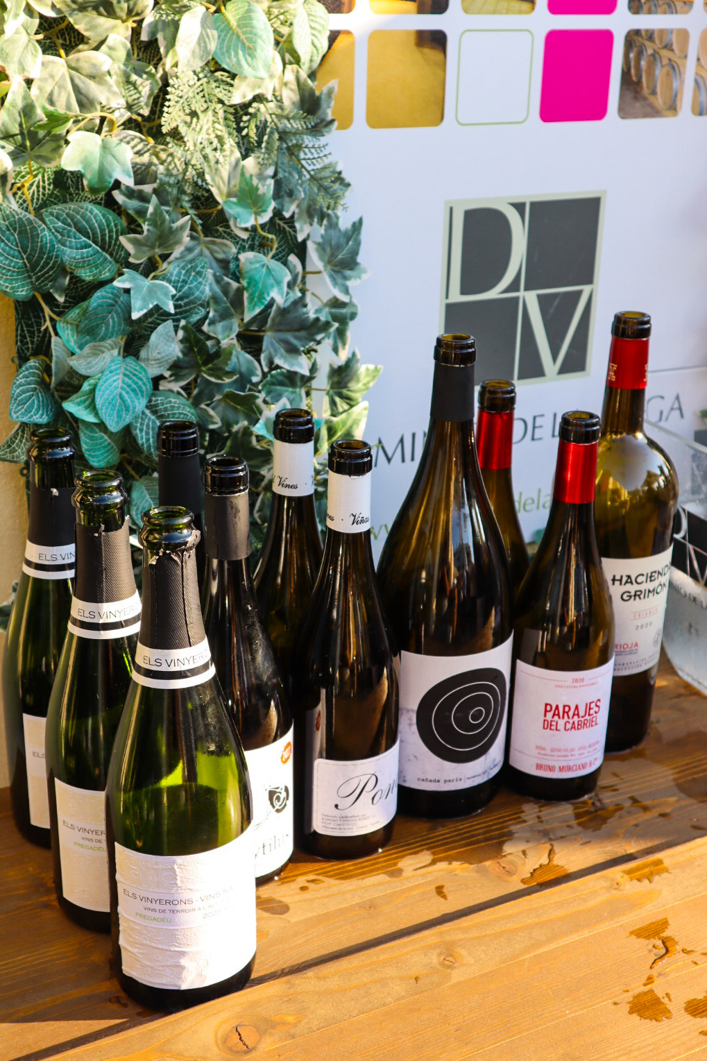 Spanish wine labels